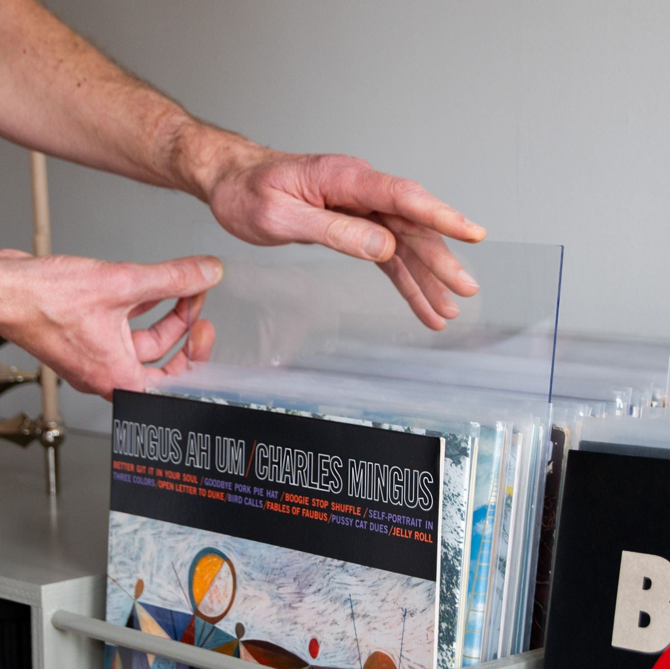 Plexiglass for vinyl records – keep pets off LP storage